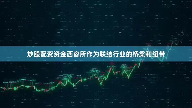 炒股配资资金西容所作为联结行业的桥梁和纽带