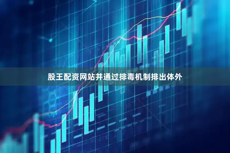 股王配资网站并通过排毒机制排出体外
