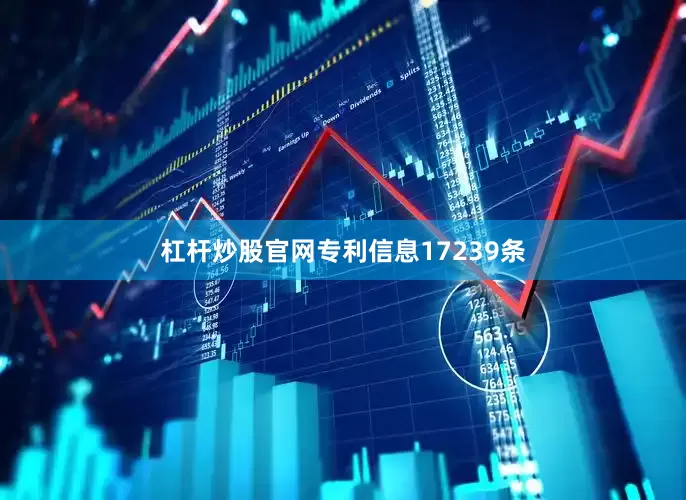 杠杆炒股官网专利信息17239条