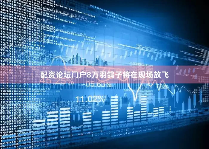 配资论坛门户8万羽鸽子将在现场放飞